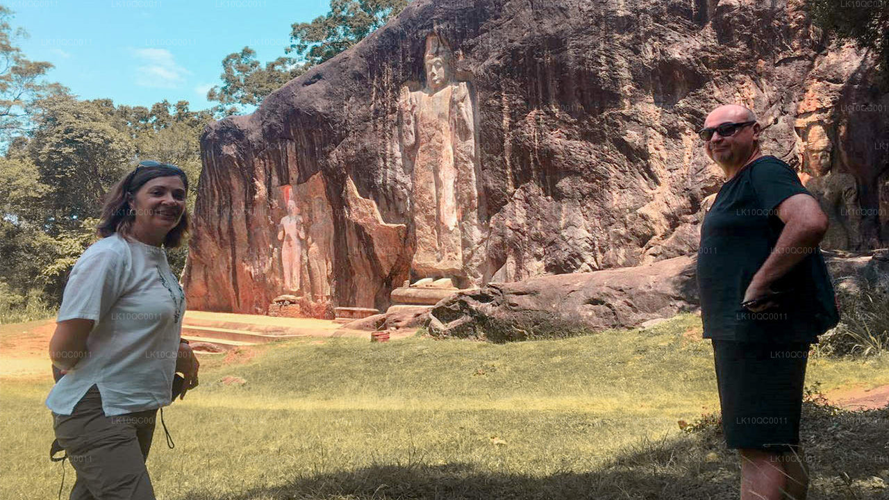 Ceylon Endearment (26 dni)