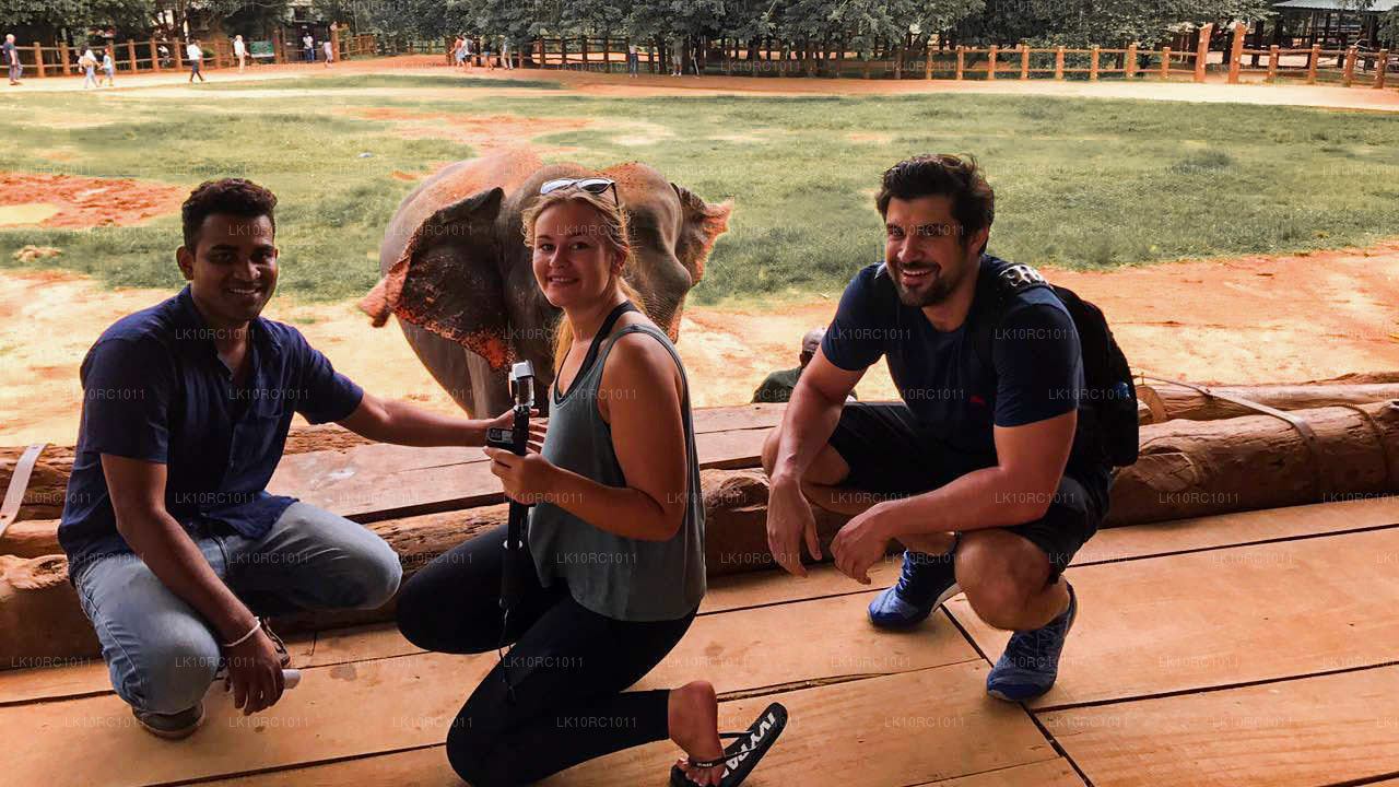 Ceylon Endearment (27 dni)