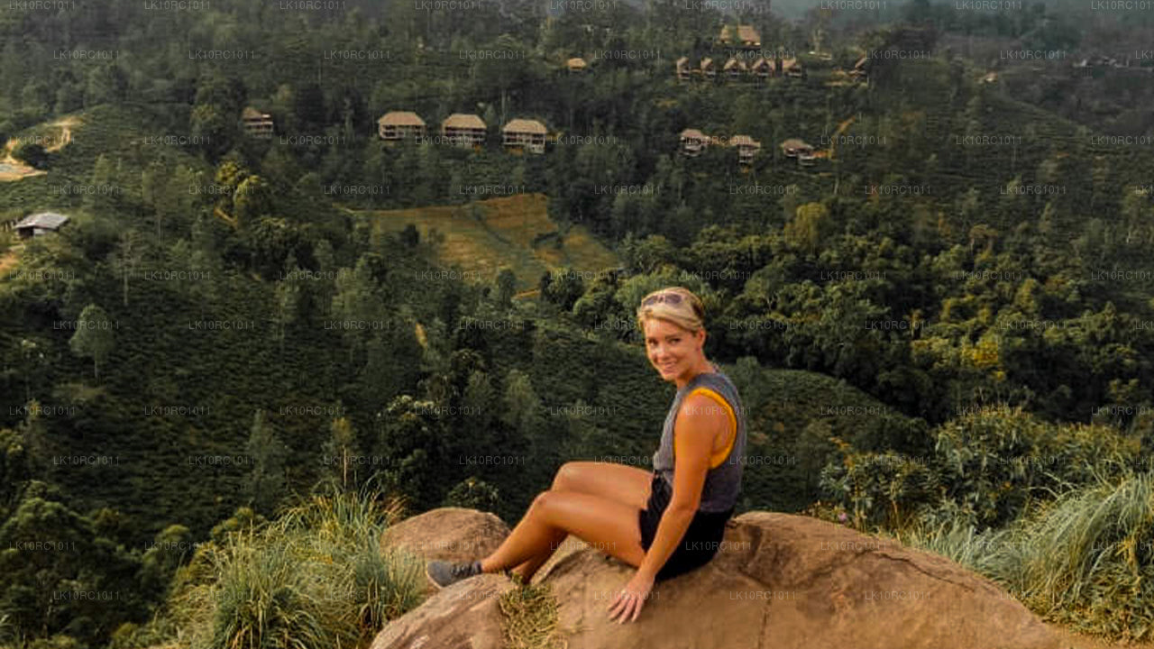 Ceylon Endearment (27 dni)