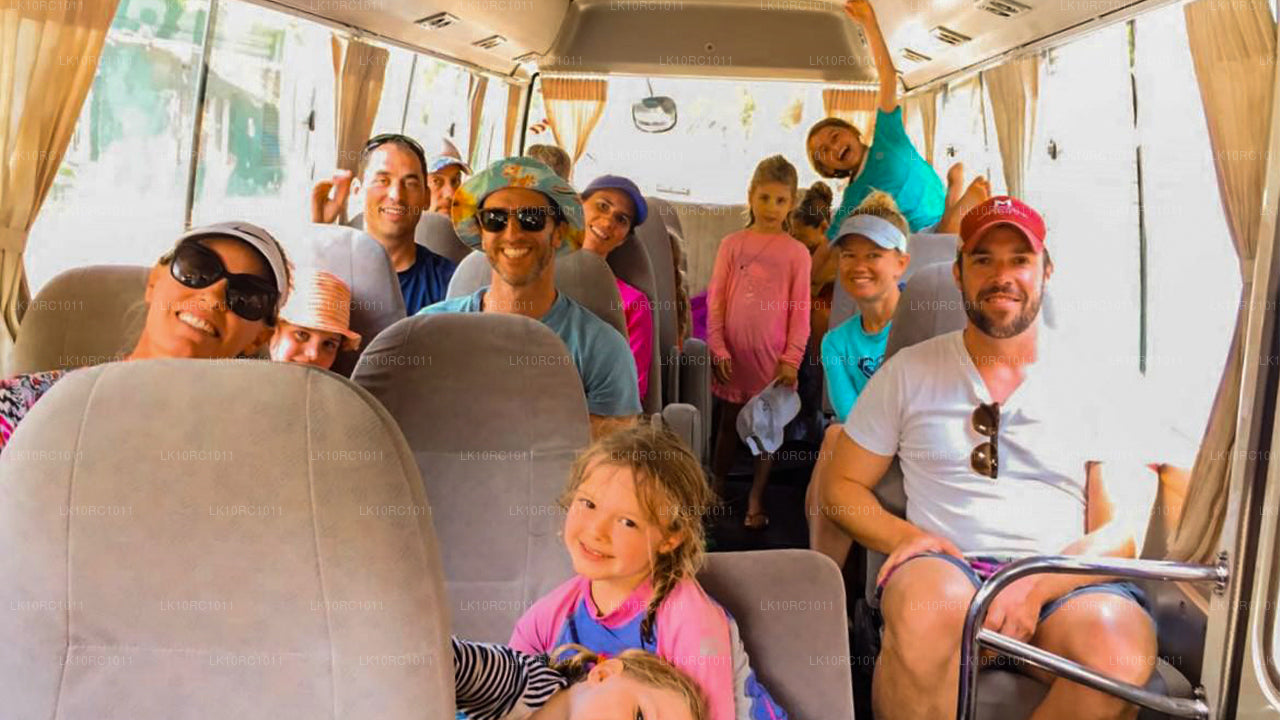 Ceylon Endearment (27 dni)