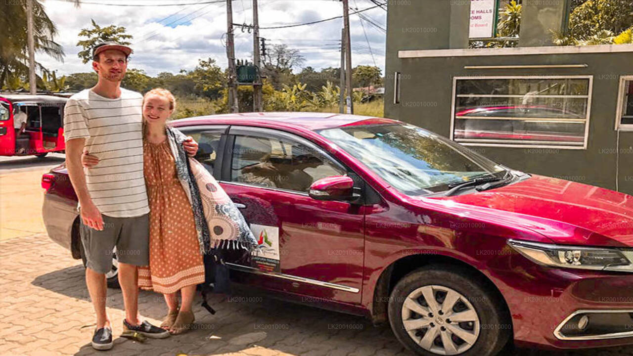 Wynajem samochodu z kierowcą (standardowy)