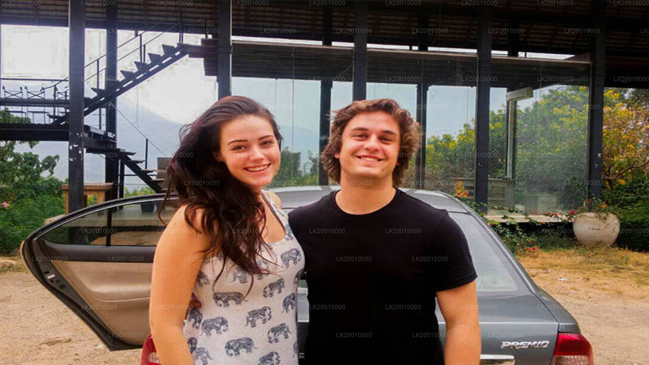 Wynajem samochodu z kierowcą (standardowy)