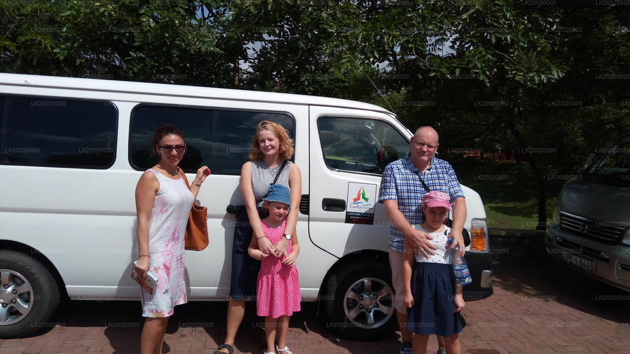 Wynajem standardowego vana z kierowcą