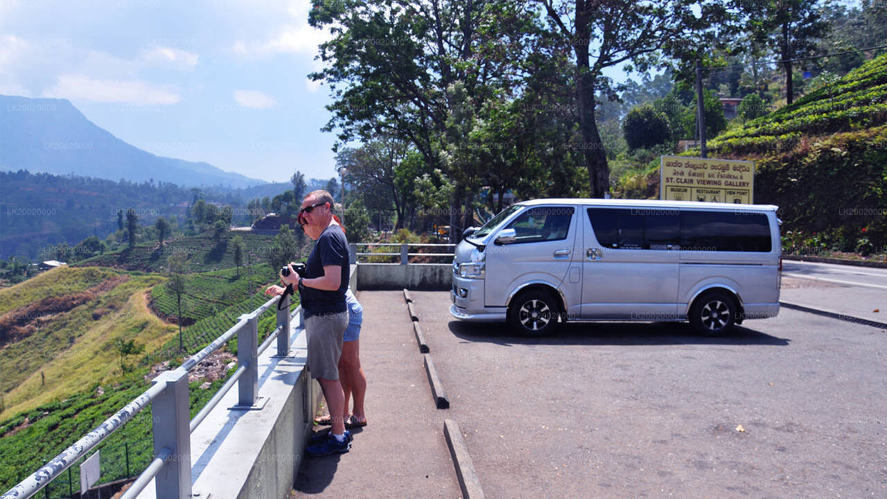 Wynajem standardowego vana z kierowcą