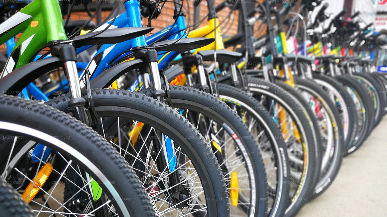 Wypożyczalnia rowerów górskich z Kandy