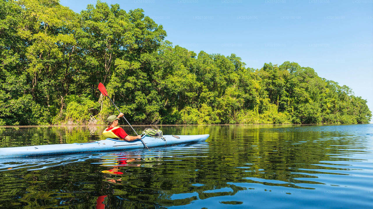 Kajakarstwo z Kitulgala