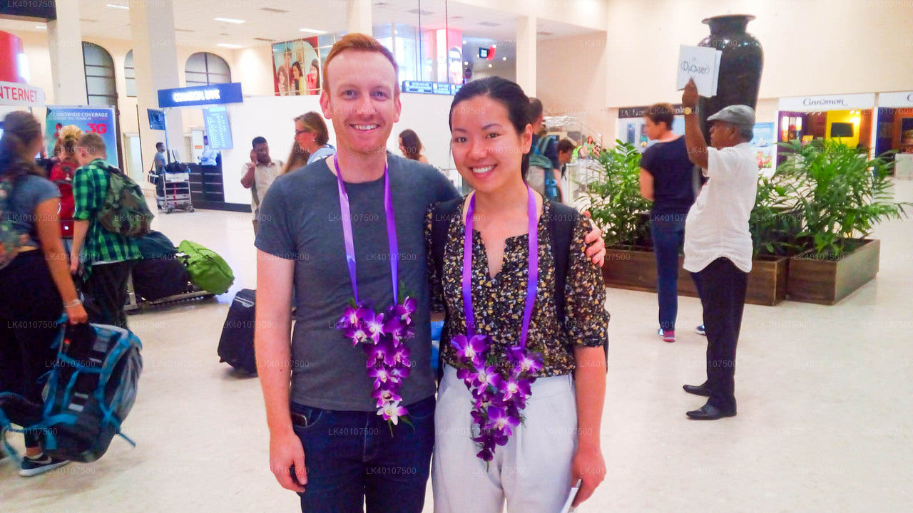 Prywatny transfer z lotniska Kolombo (CMB) do miasta Trincomalee