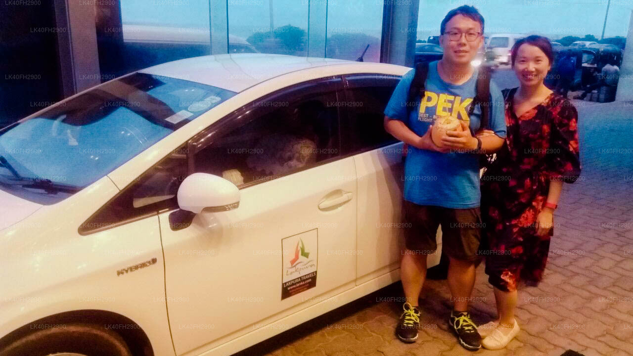 Mattala (HRI) Airport to Hambantota City Private Transfer