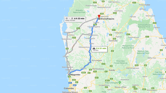 Negombo City to Anuradhapura City Private Transfer