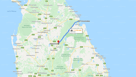 Trincomalee City to Habarana City Private Transfer
