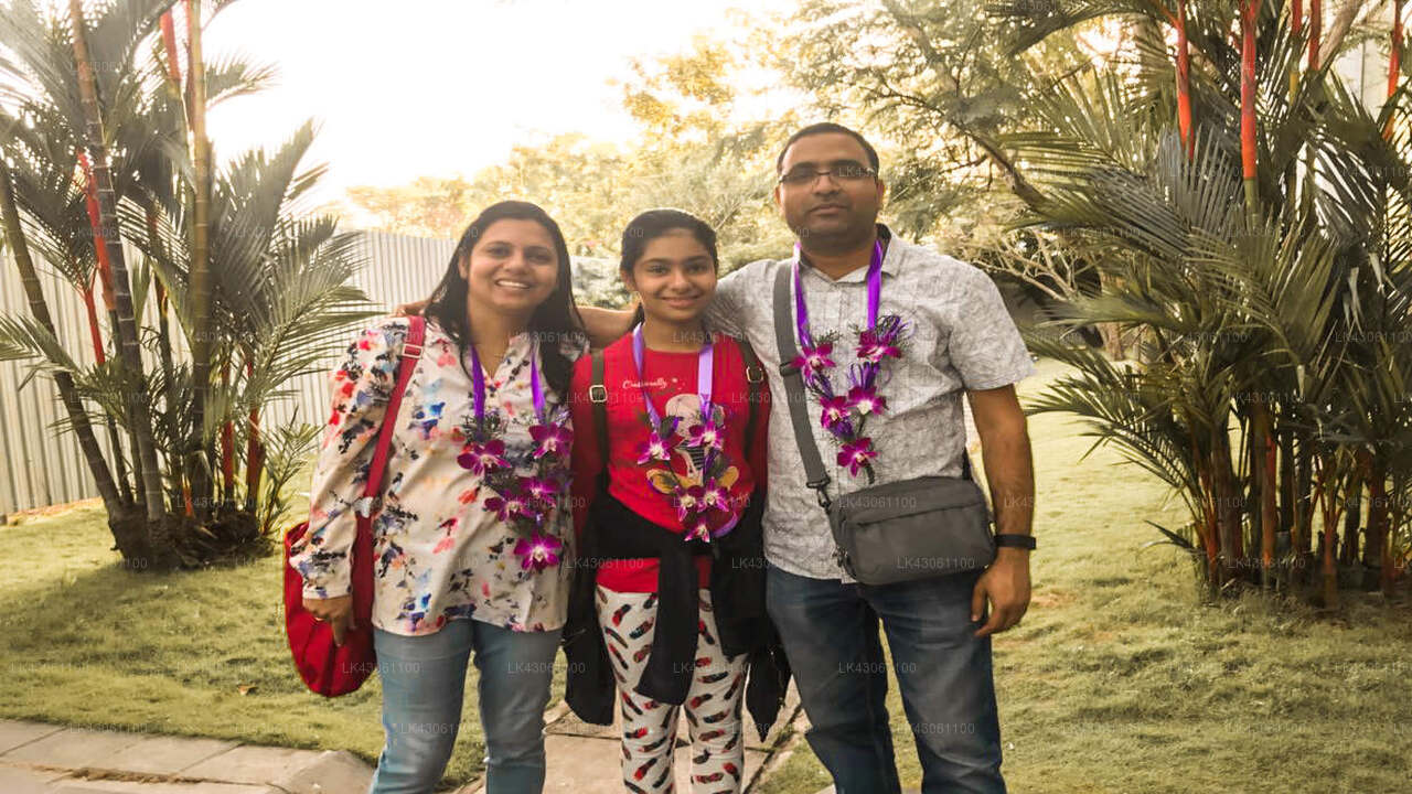 Transfer between Colombo Airport (CMB) and Thambapanni Retreat, Unawatuna