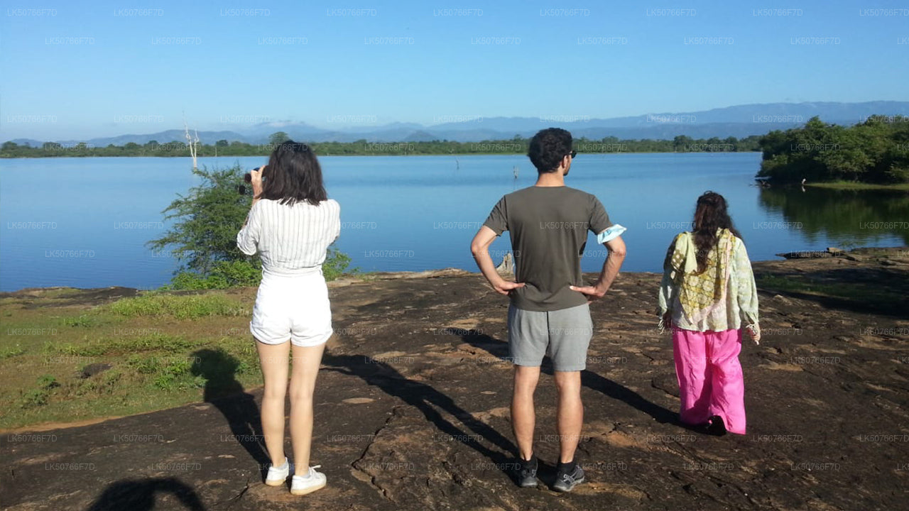 Prywatne safari w Parku Narodowym Udawalawe z przyrodnikiem