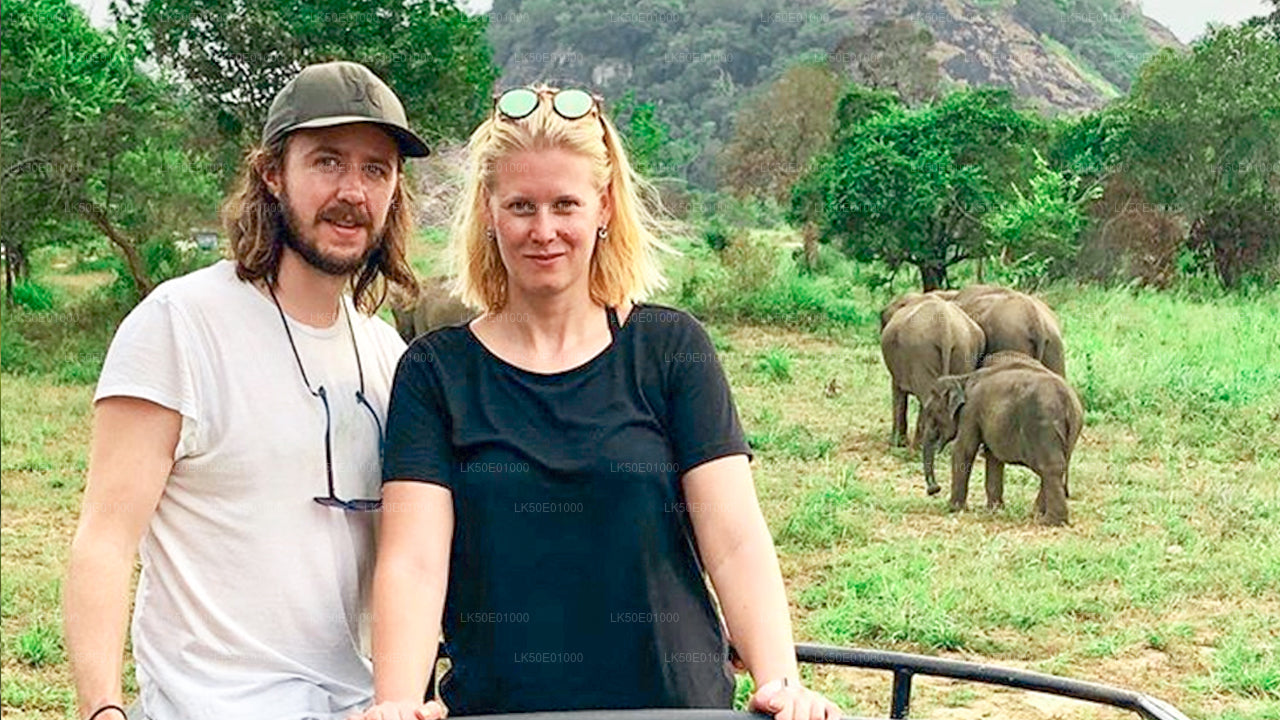 A couple on a safari looking at a group of elephants in their natural habitat.