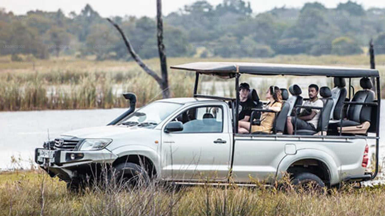 Prywatne safari w Parku Narodowym Bundala z przyrodnikiem