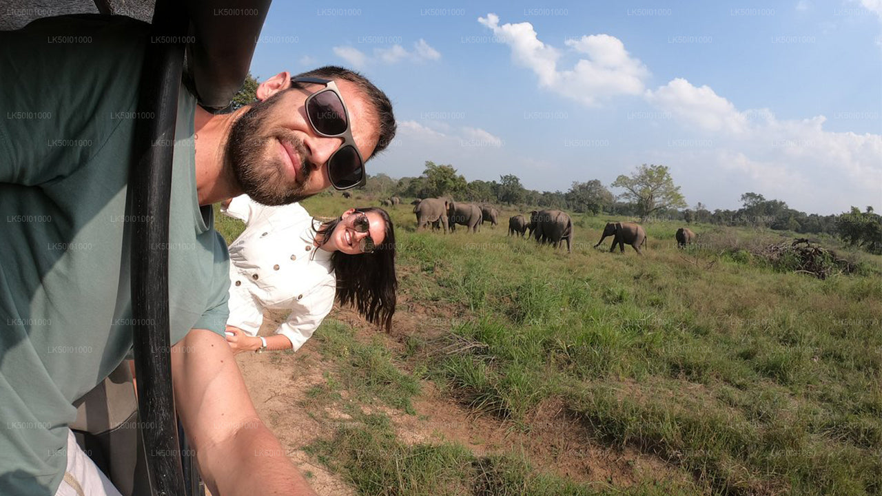 Prywatne safari w Parku Narodowym Wasgamuwa