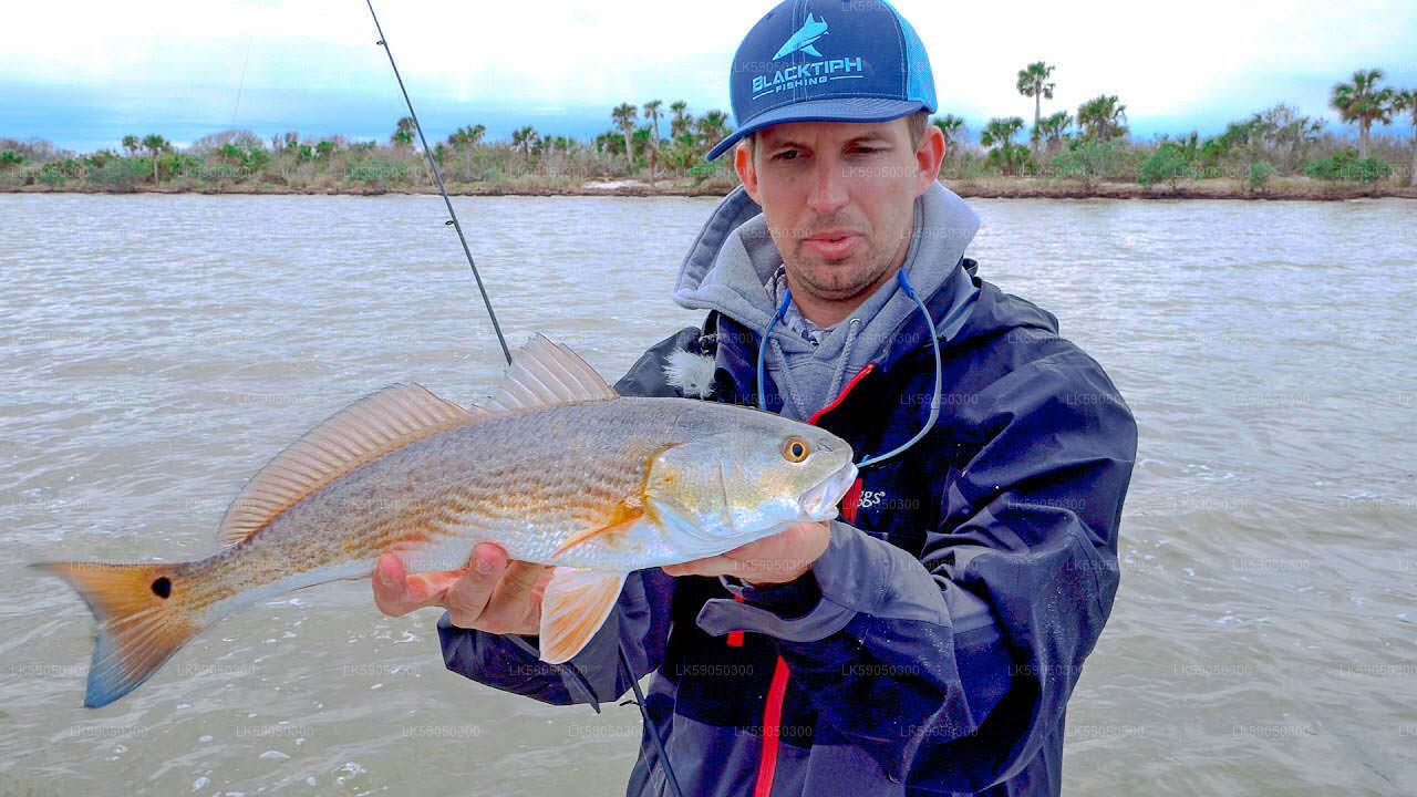 Lagoon Fishing from Negombo