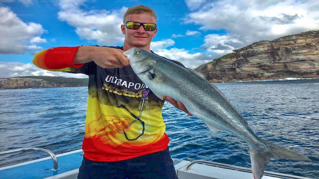 Wycieczka łodzią rybacką głębinową z Kalpitiya