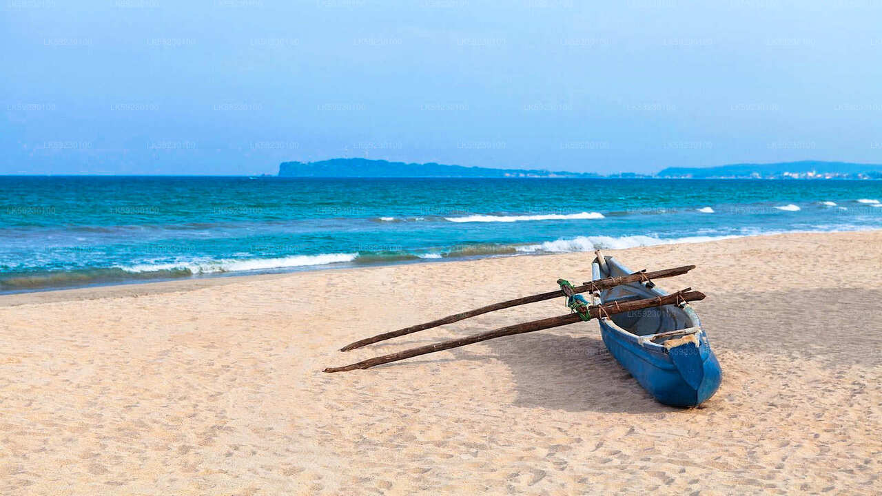 Wycieczka łodzią rybacką głębinową z Trincomalee