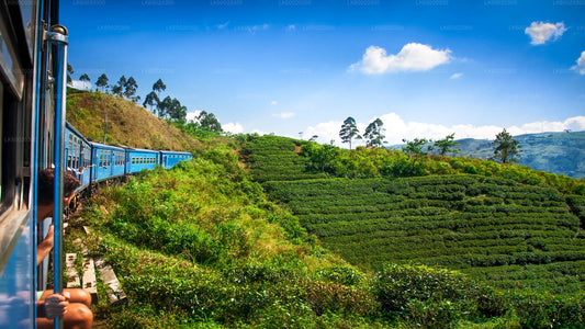 Blue train winding through lush green tea plantations in the Sri Lankan highlands under a bright blue sky.