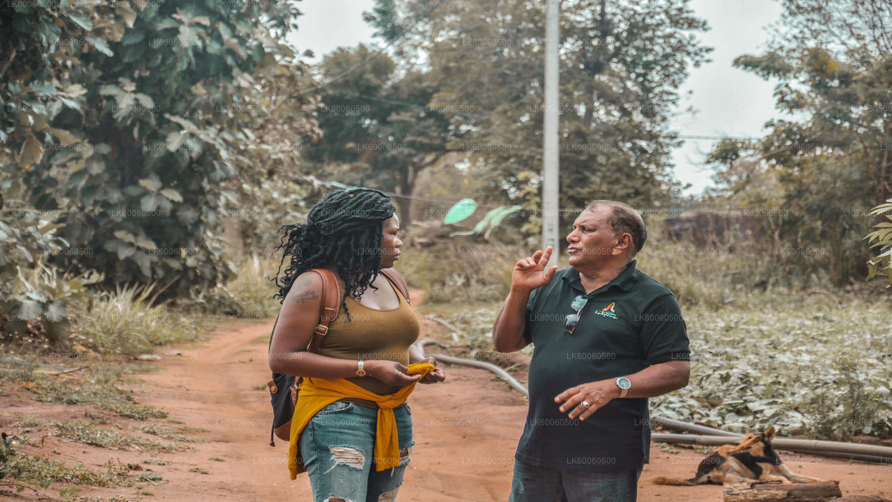 Wycieczka do wioski Hiriwadunna z Habarany