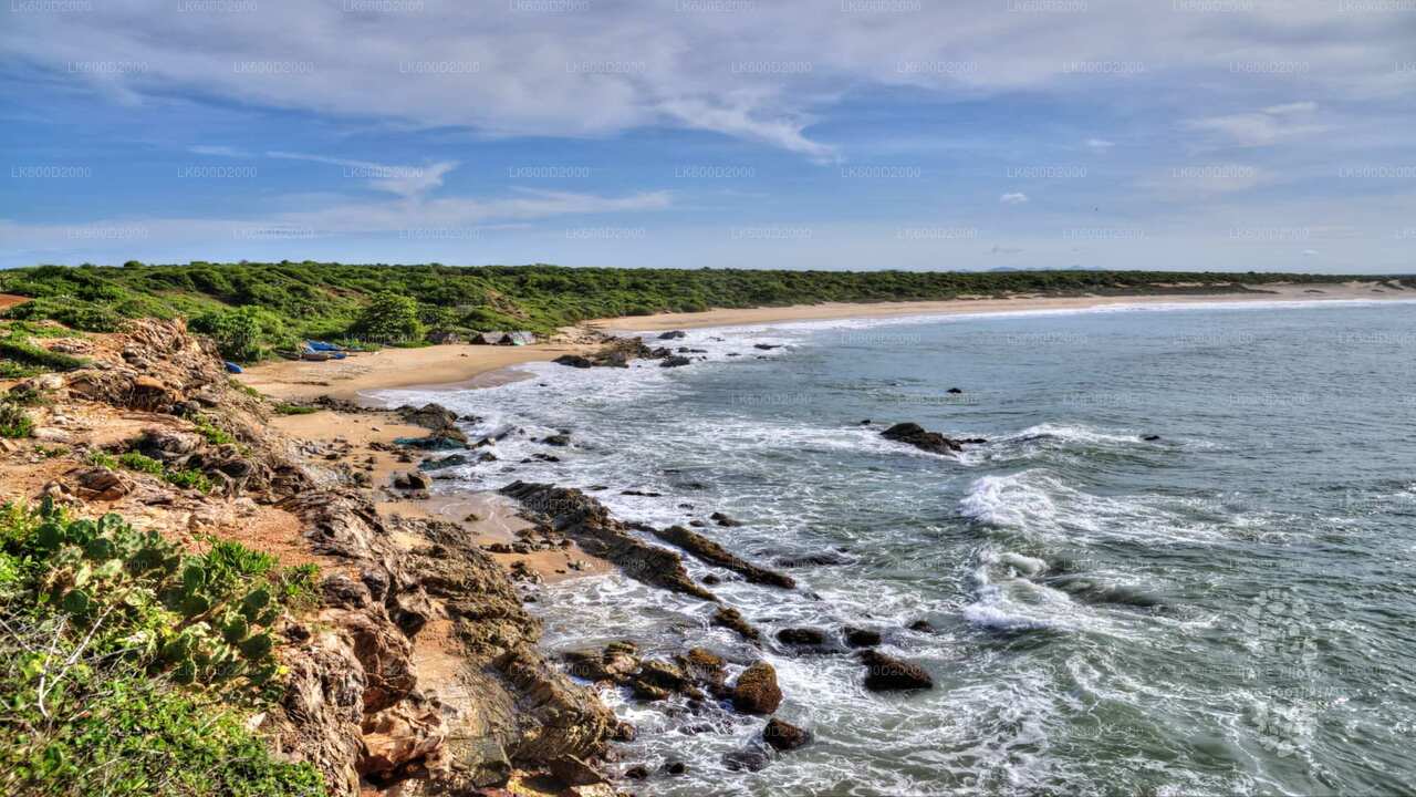 Safari w Parku Narodowym Bundala z Bentoty