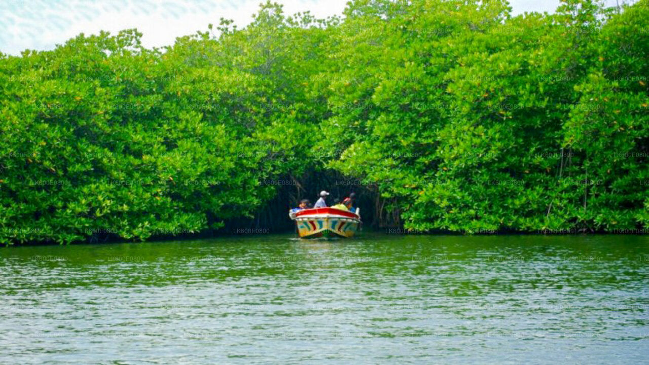 Wycieczka po mieście Bentota i Galle z Beruwali