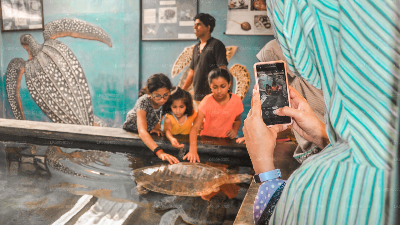 Handungoda, Galle i Kosgoda z Kolombo