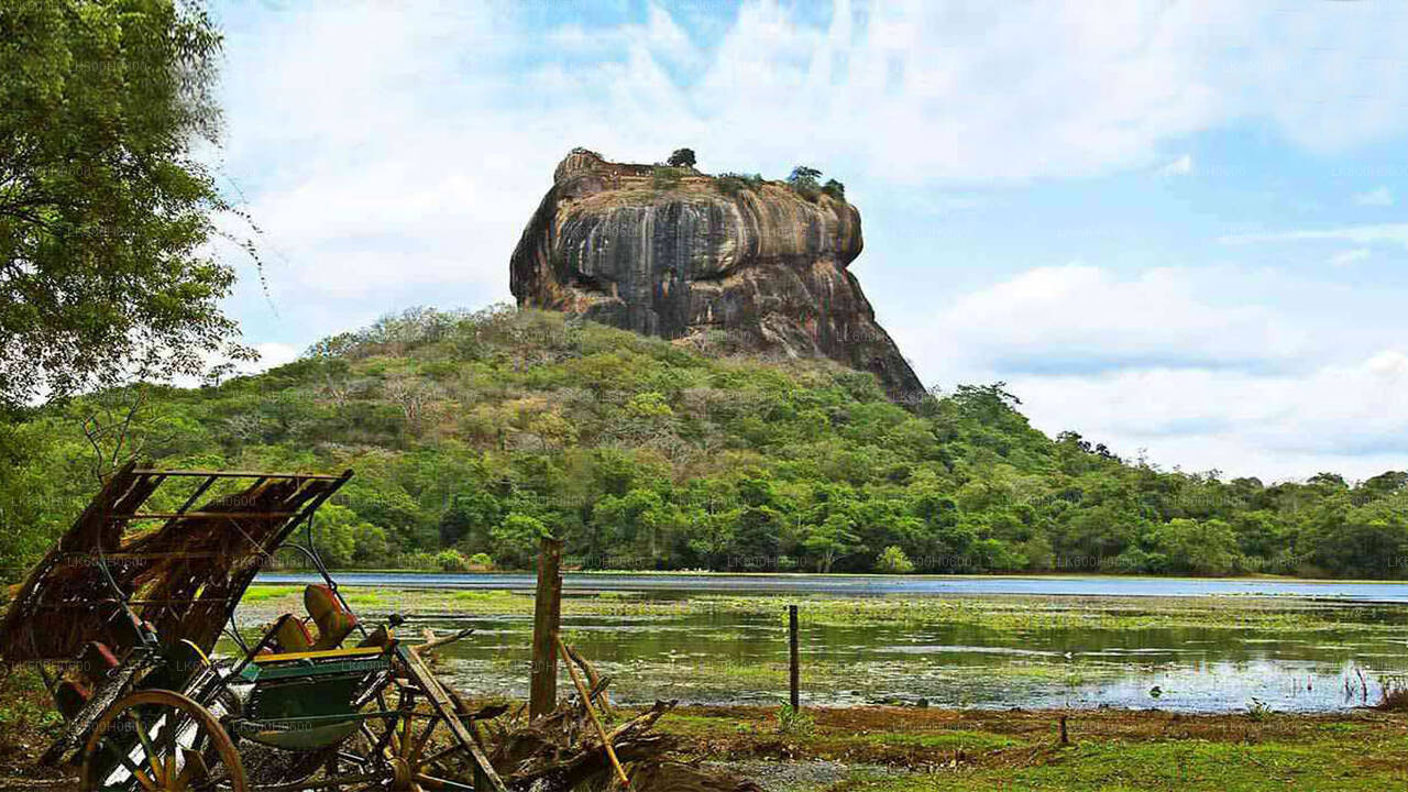 Sigiriya i Dambulla z Kolombo