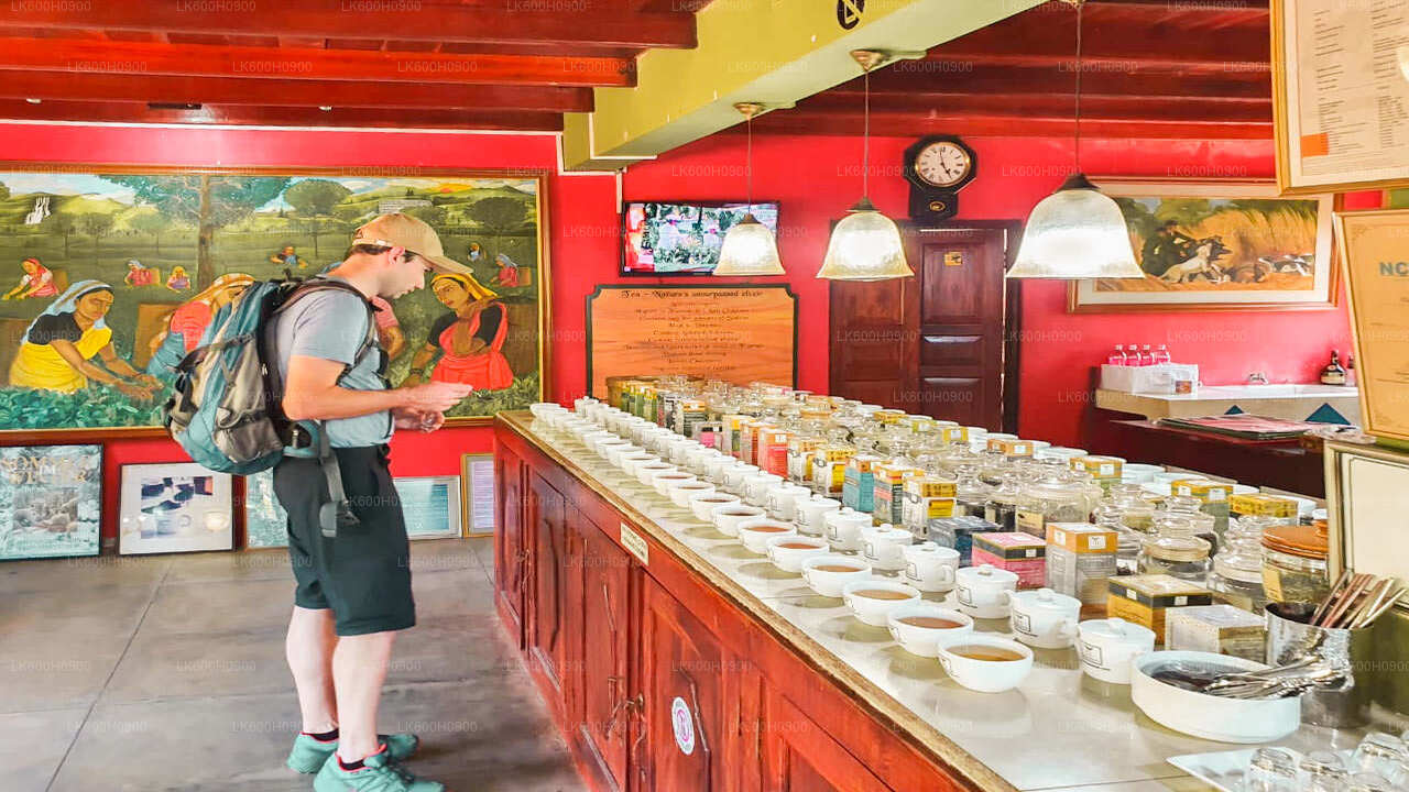 Najważniejsze atrakcje południowego wybrzeża z Kolombo