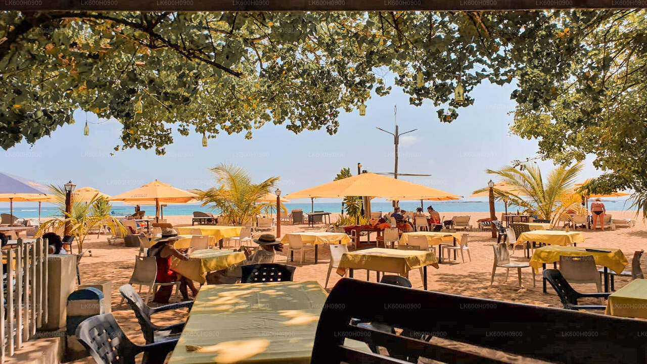 Najważniejsze atrakcje południowego wybrzeża z Kolombo