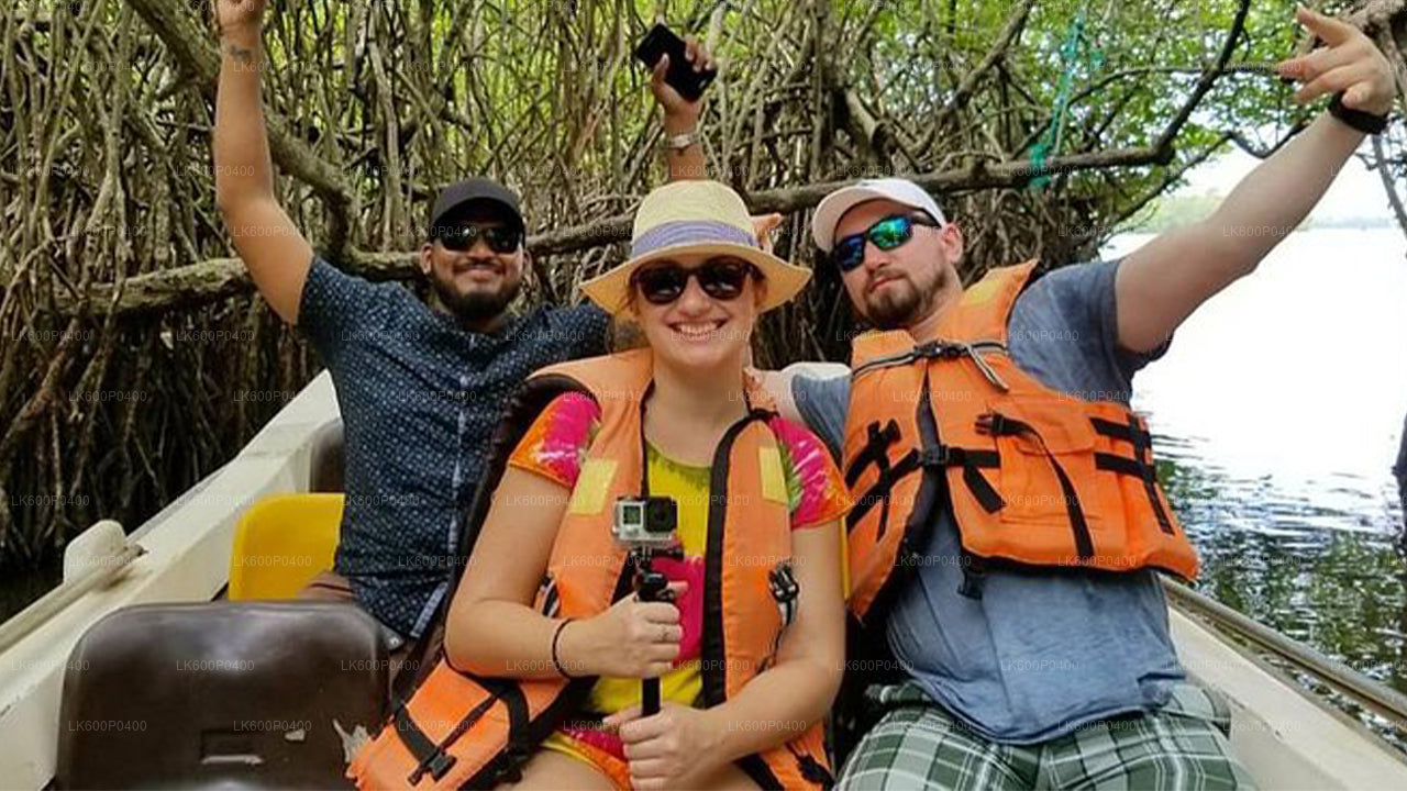 Wycieczka po mieście Bentota z Galle