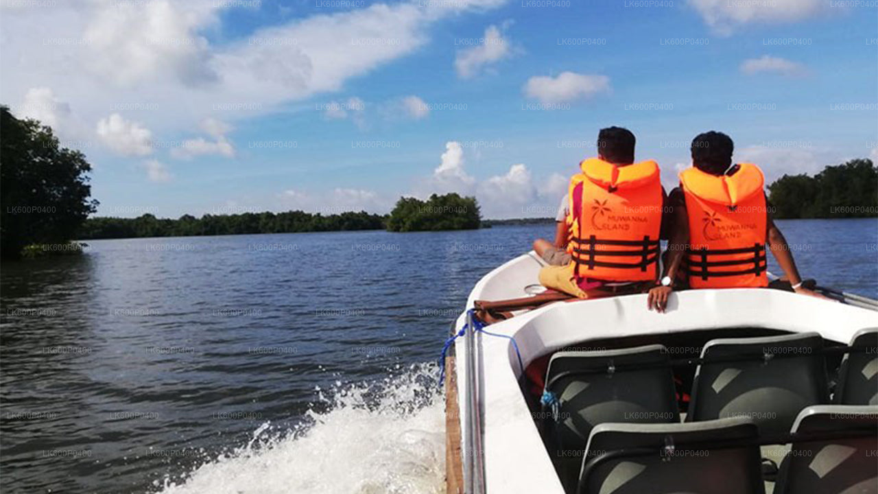 Wycieczka po mieście Bentota z Galle