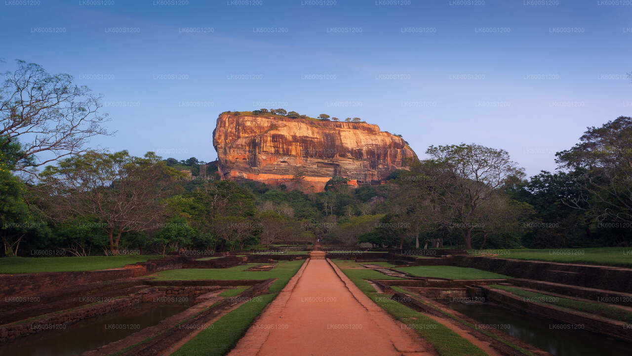 Sigiriya Rock i Wild Elephant Safari z Habarany