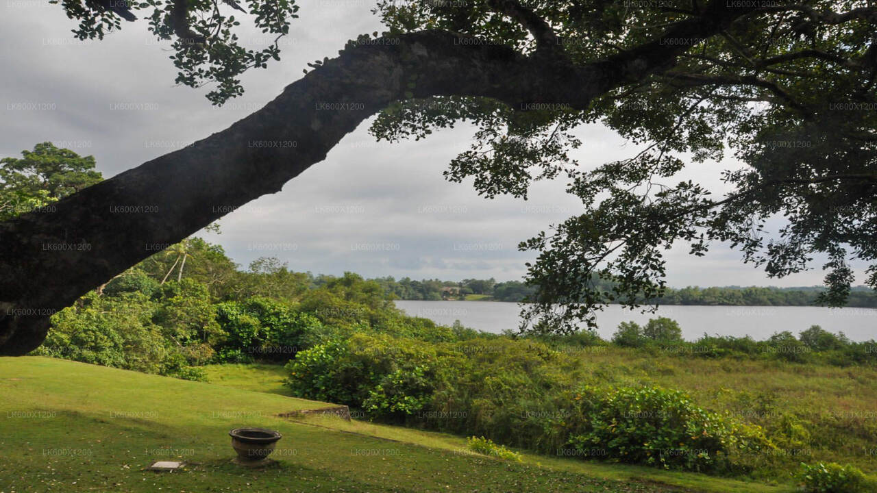Bentota Stadstour vanuit Hikkaduwa