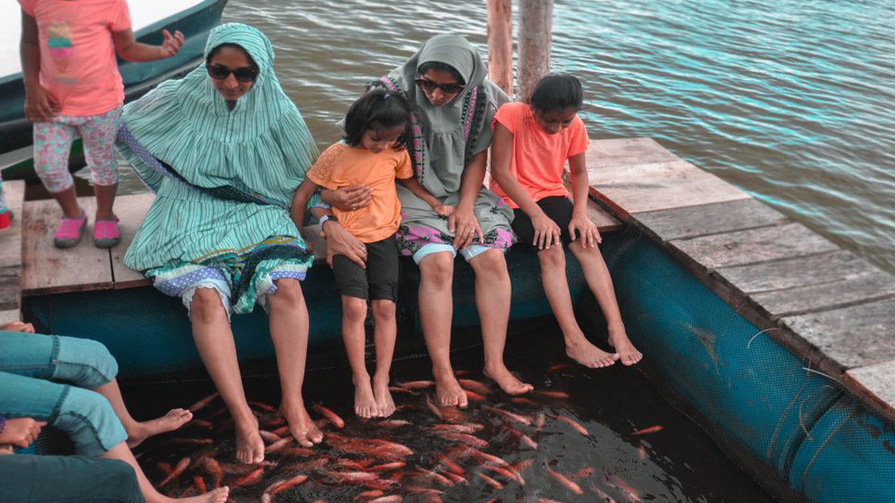 Balapitiya, Handunugoda i Galle z Bentoty