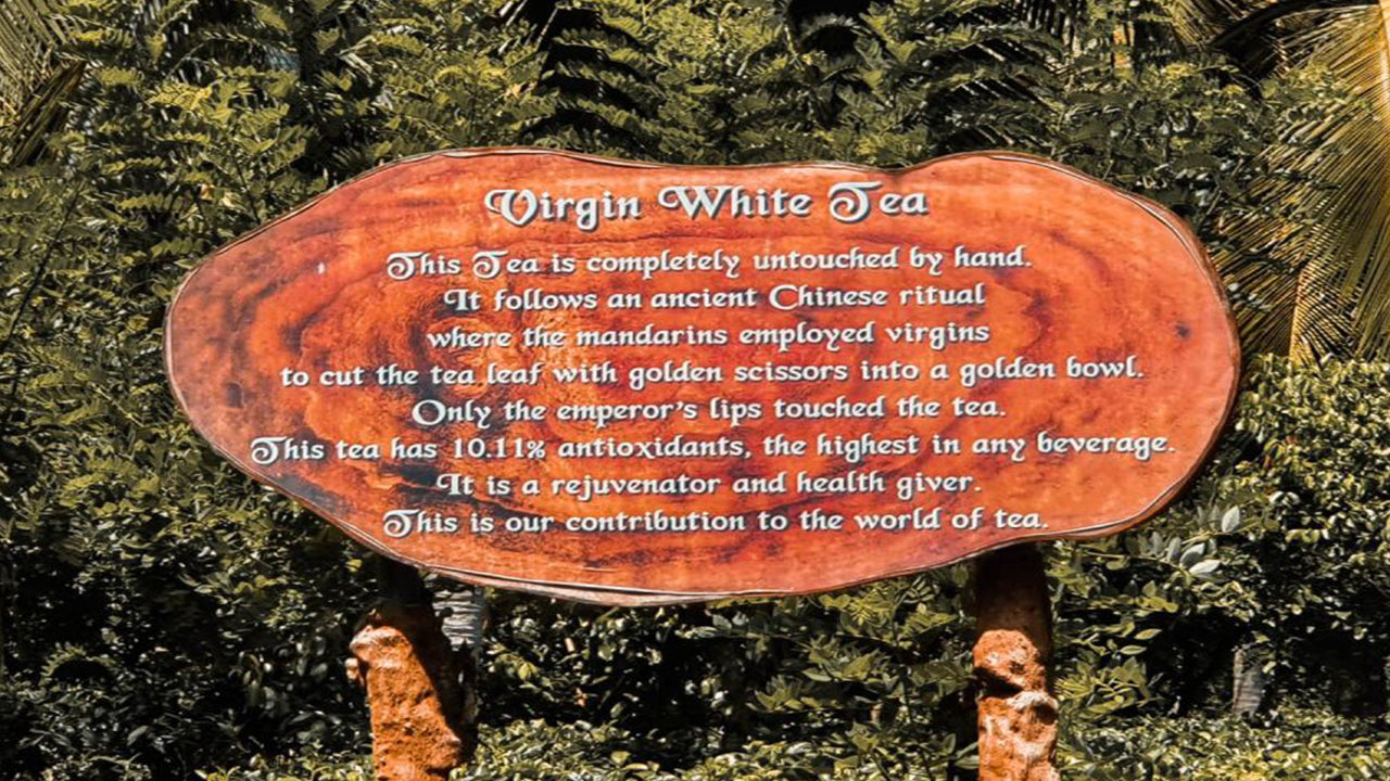 Balapitiya, Handunugoda i Galle z Bentoty