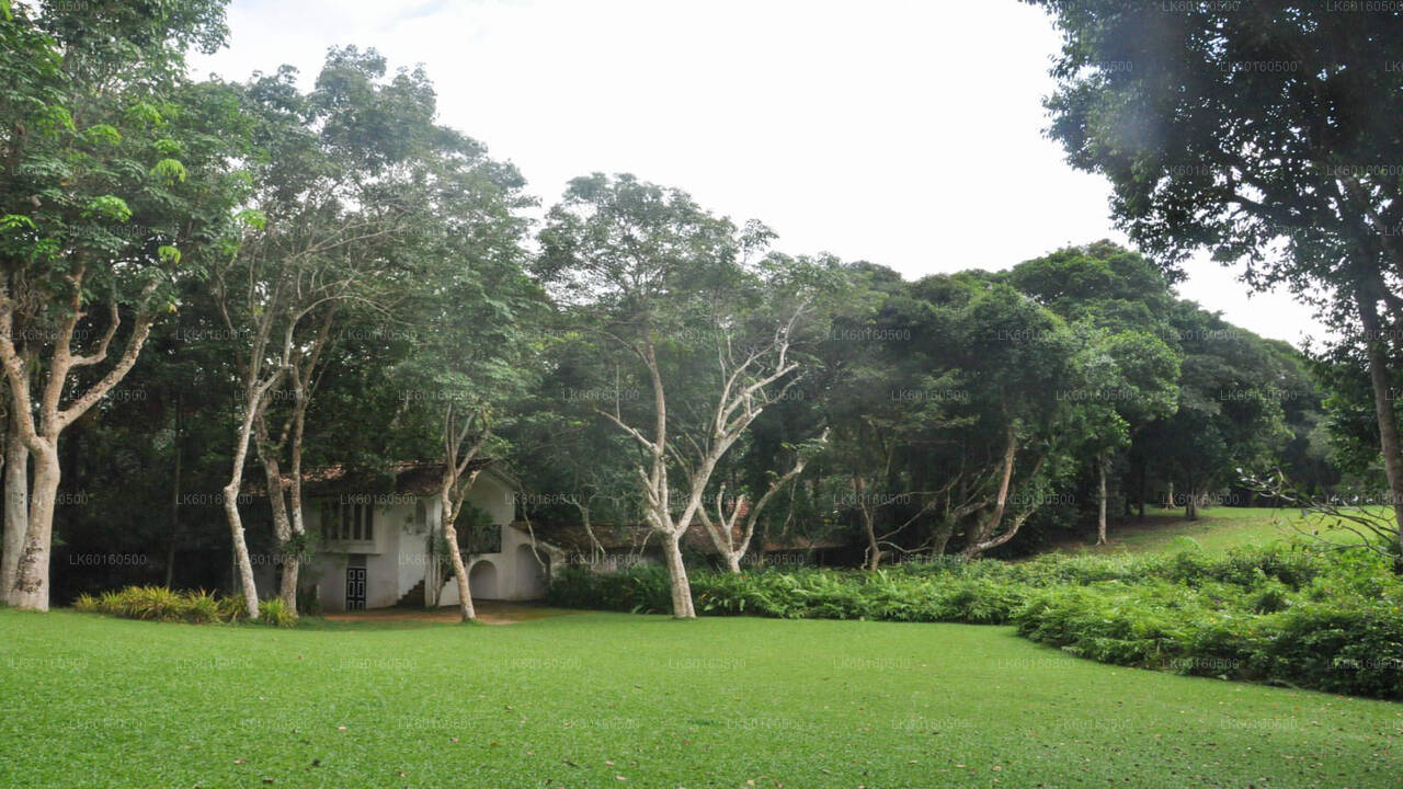 Wycieczka po mieście Bentota z Kalutara