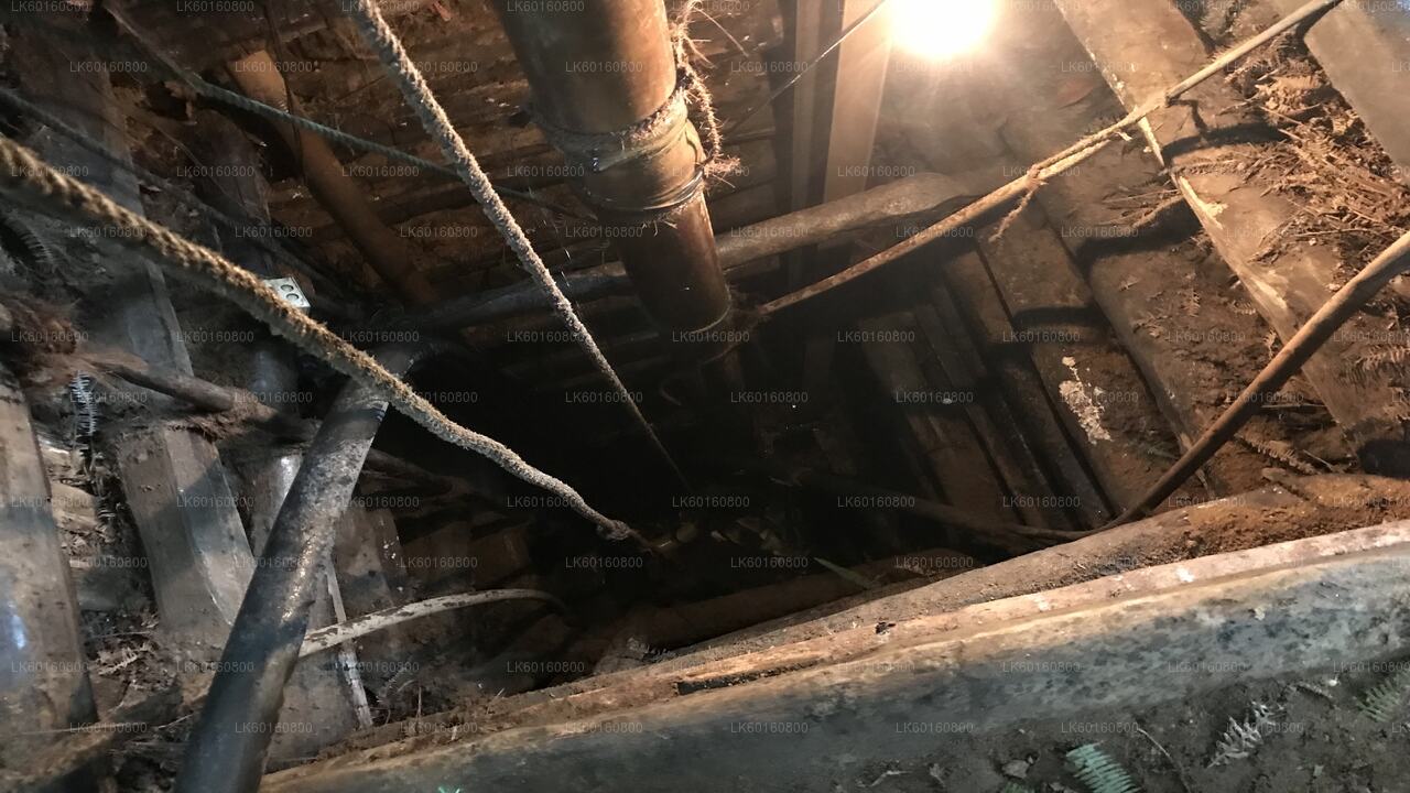 Przeglądaj kopalnie klejnotów w Rathnapurze z Kalutary