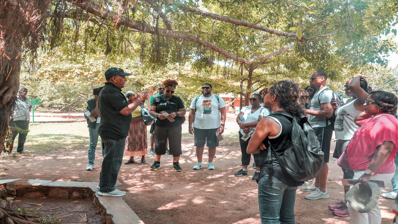 Sigiriya i Dambulla z Kandy