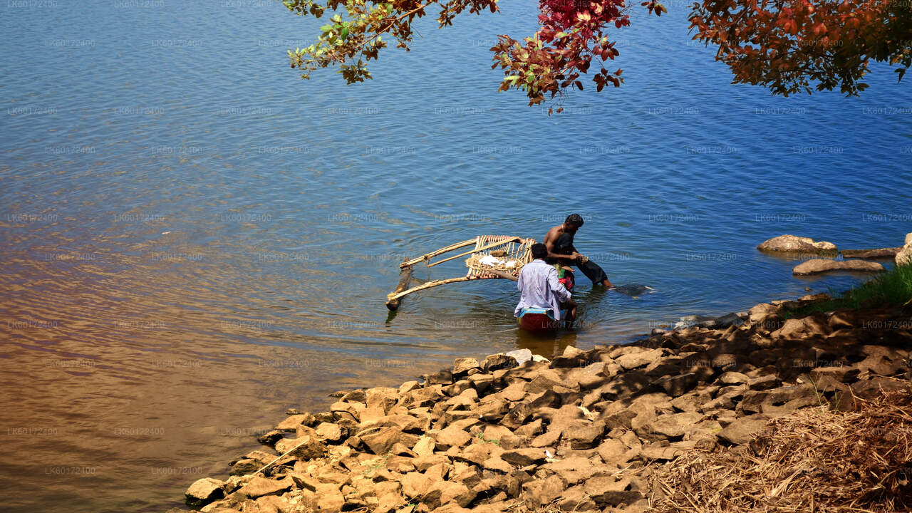 Wycieczka do wioski Aborygenów z Kandy
