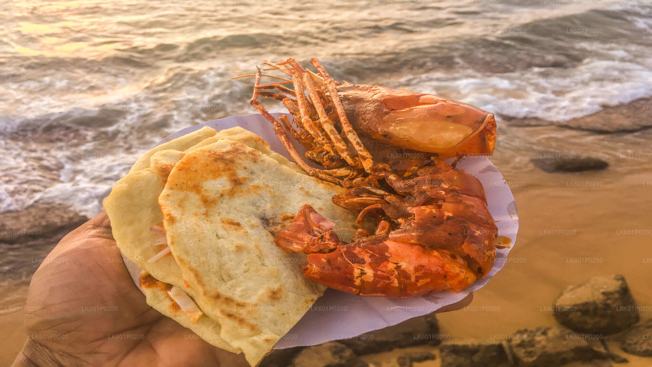 Wycieczka po Kolombo z Negombo