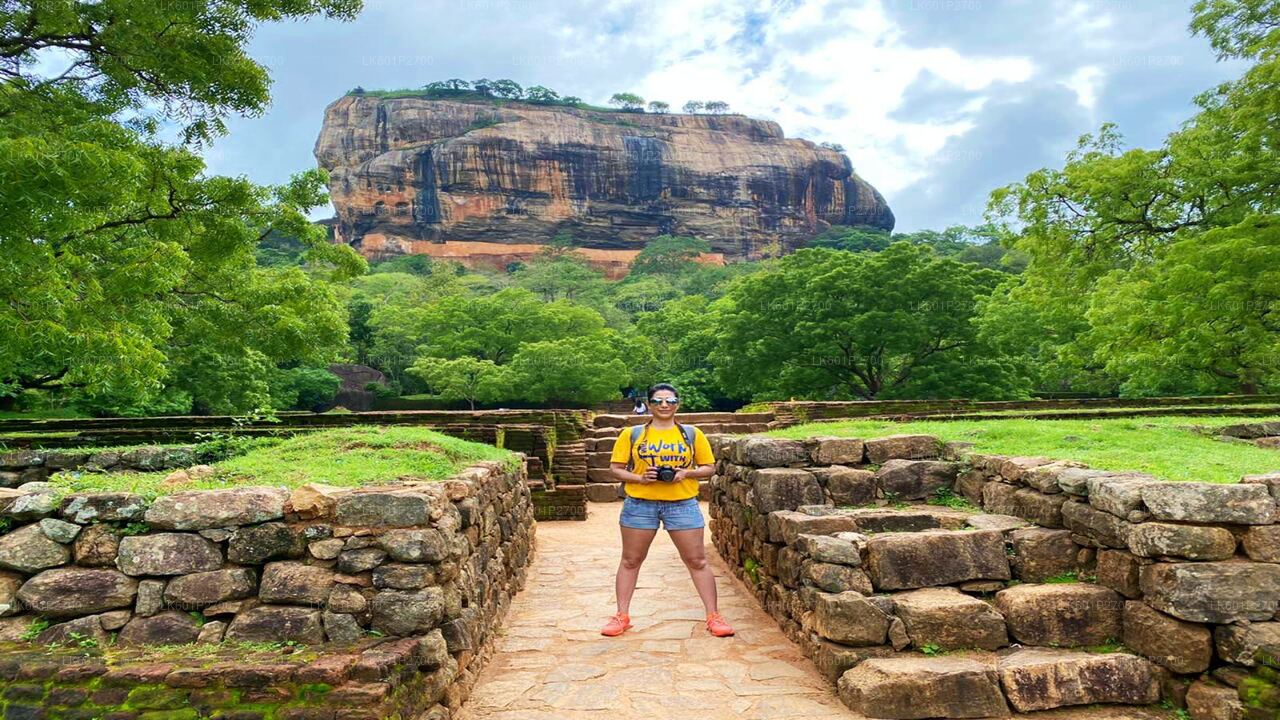 Sigiriya Rock i Wild Elephant Safari z Negombo