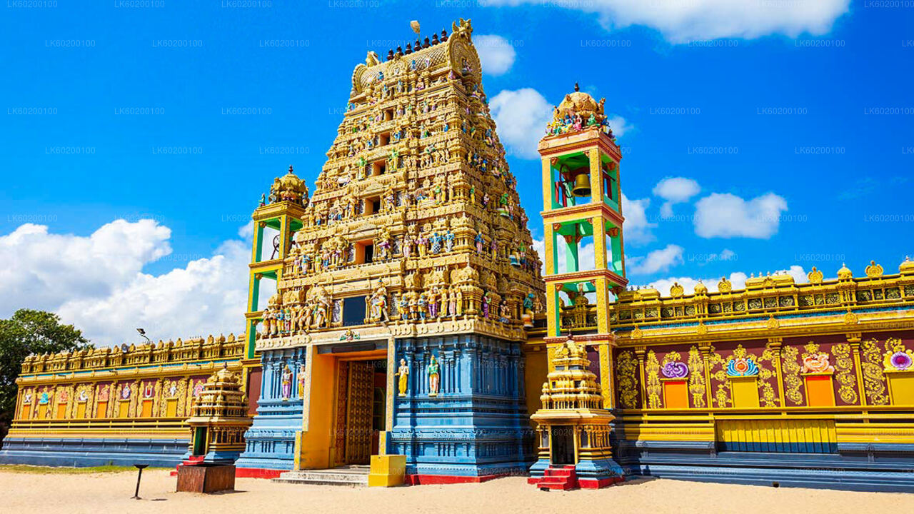 Wycieczka po mieście Jaffna i wyspę Nagadeepa z Jaffna