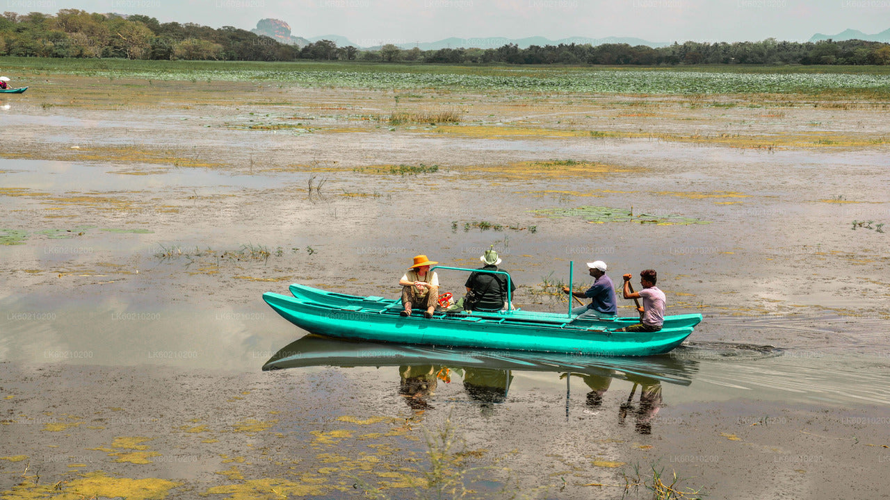 Sigiriya Rock i Wild Elephant Safari z Dambulla