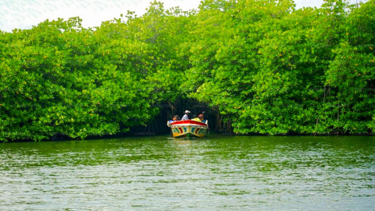 Wycieczka po mieście Bentota z Tangalle