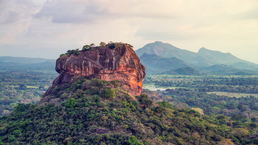 Sigiriya Rock and Wild Elephant Safari z Pasikuda