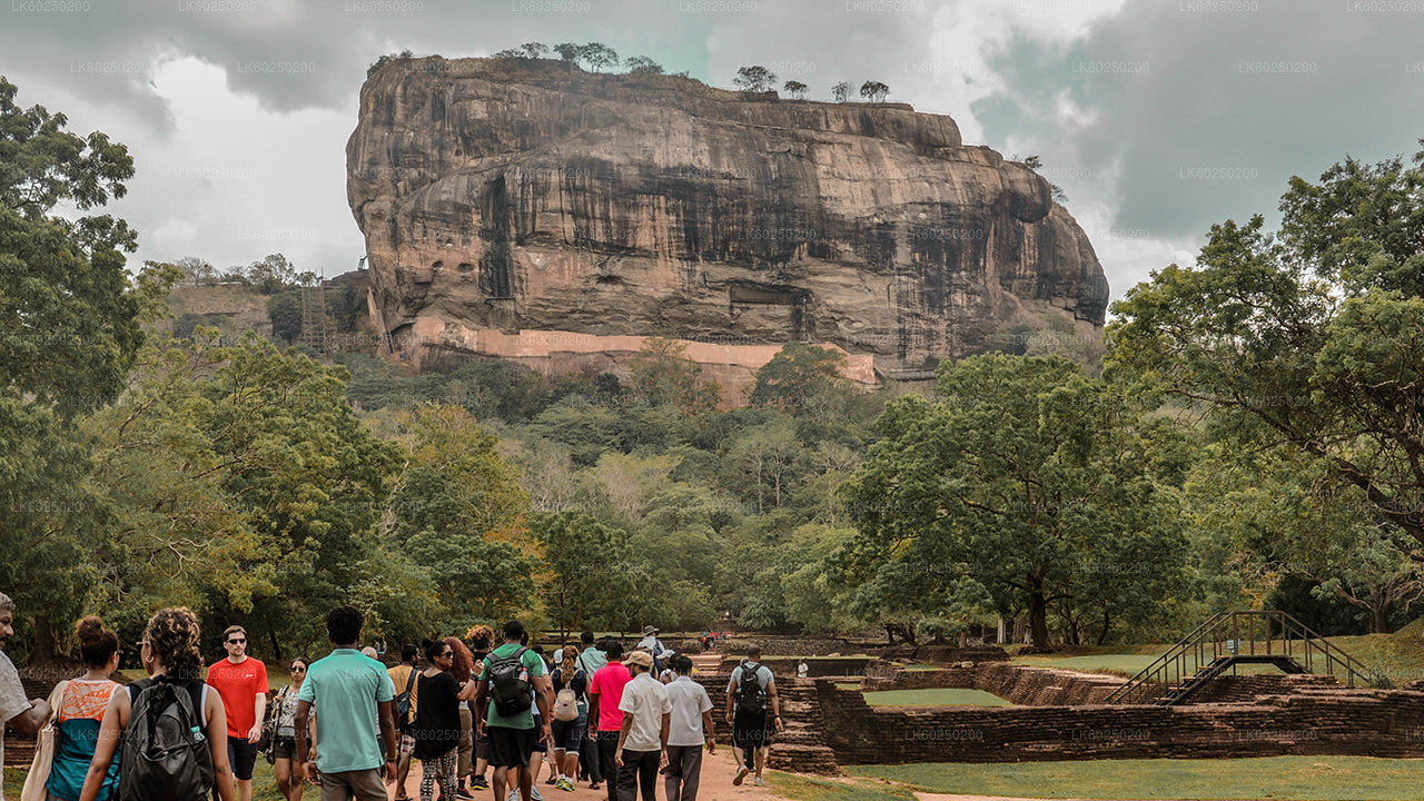Sigiriya Rock and Wild Elephant Safari z Pasikuda