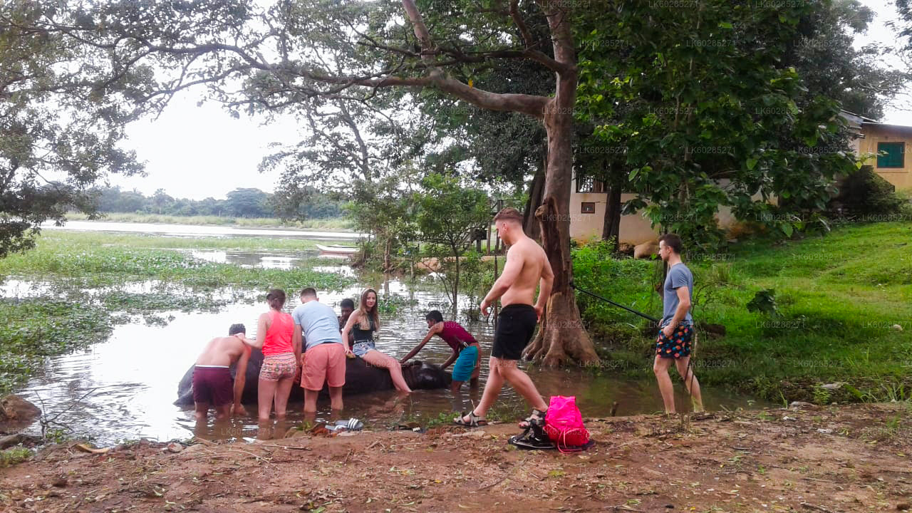Safari na grzbiecie słonia z Habarany