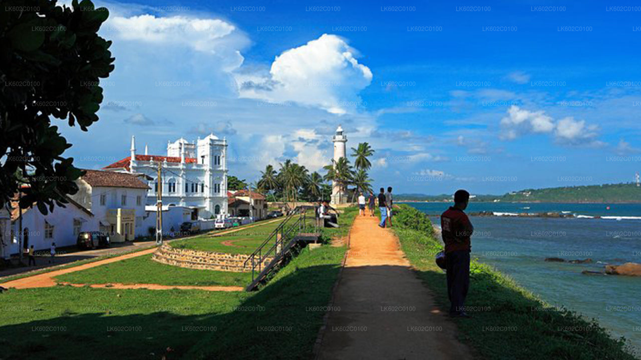 Najważniejsze atrakcje południowego wybrzeża z miasta Weligama