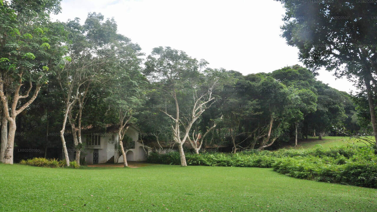 Wycieczka po mieście Bentota z Weligama